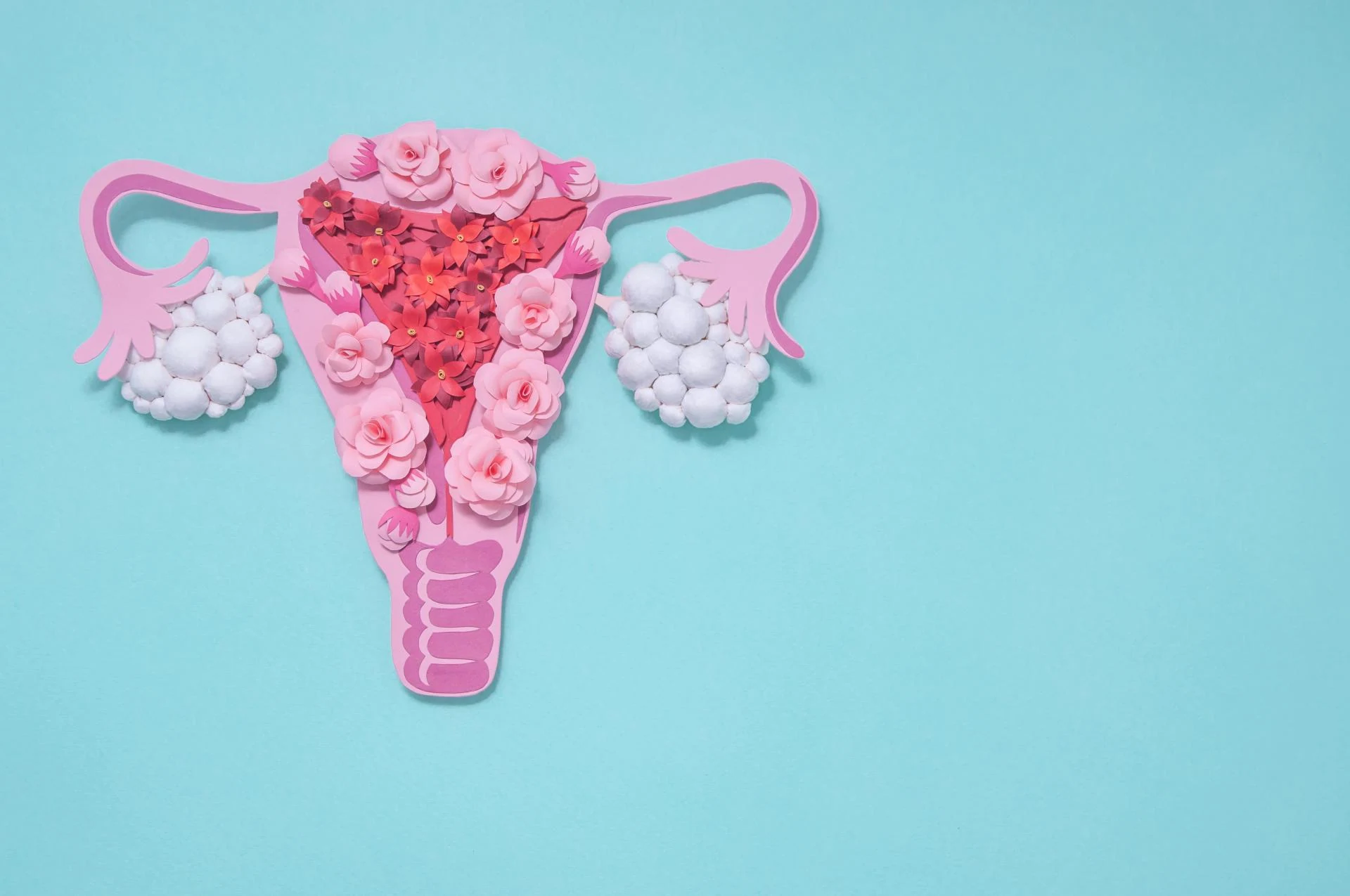 난소 낭종 자가 치유가 가능한가요? — 차차여성의원 내몸이야기 이미지 1
