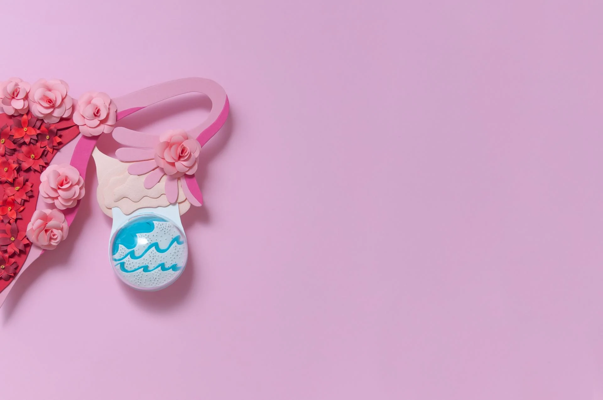 난소 낭종 자가 치유가 가능한가요? — 차차여성의원 내몸이야기 이미지 4
