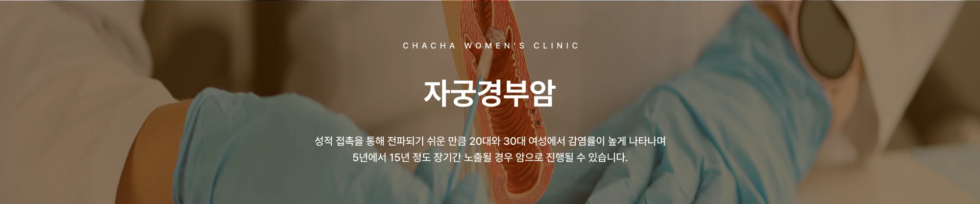 자궁경부염·자궁경부암