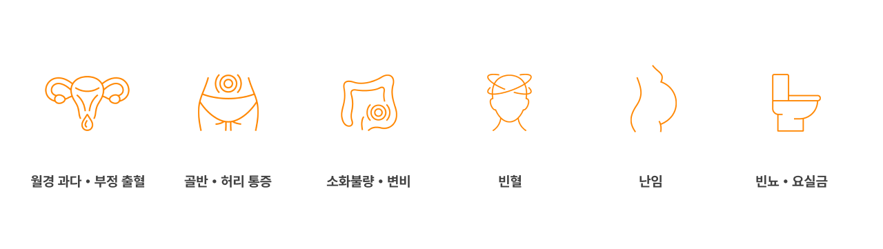 자궁근종