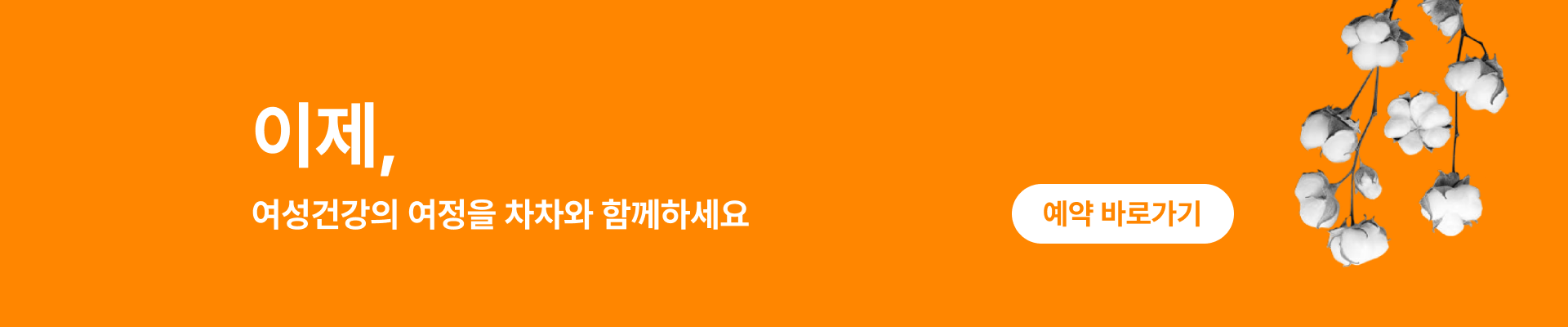 임신 확인